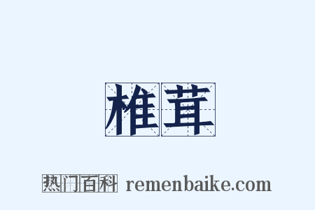 椎茸是什么意思的图片